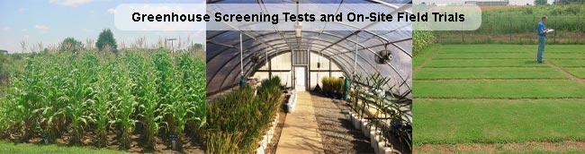 Greenhouse and Field Fertilizer Tests